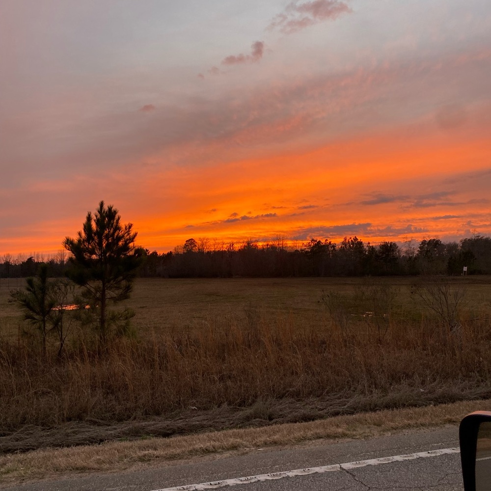 Meet your Posher, Kylie